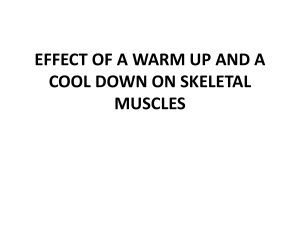 Effects of Warm Up and Cool Down