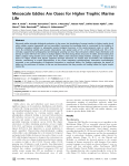 Mesoscale Eddies Are Oases for Higher Trophic Marine Life