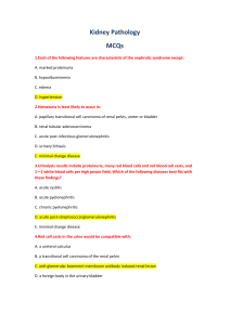 Kidney Pathology MCQs