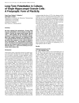 Long-Term Potentiation in Cultures of Single Hippocampal Granule