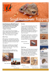 Small Vertebrate Trapping