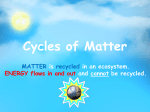 Cycles of Matter