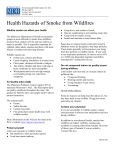 Health Hazards of Smoke from Wildfires (PDF: 49KB/2 pages)
