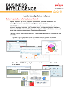 Business Intelligence (BI)