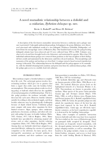 Raskoff, K.A., Robison, B.H. (2005) A novel mutualistic relationship between a doliolid and a cnidarian, Bythotiara dolioeques sp. nov. Journal of the Marine Biological Association of the United Kingdom .