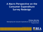 A Macro Perspective on the Consumer Expenditure Survey Redesign