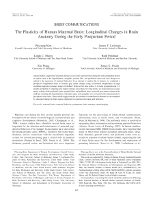 The plasticity of human maternal brain: longitudinal changes in brain anatomy during the early postpartum period