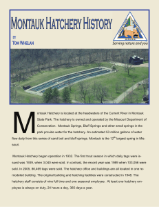 Montauk Hatchery History