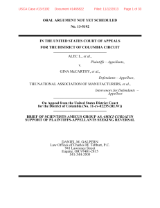 amicus brief