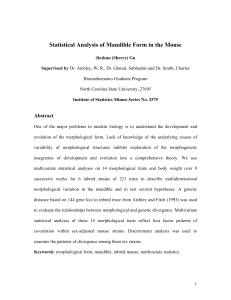 Gu, Jiezhun (2005Statistical Analysis of Mandible Form in the Mouse,"