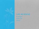 Life as Rocks - cookwilkie11
