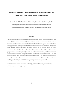 The impact of fertilizer subsidies on investment in soil and water