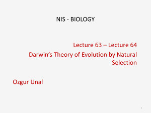 nis - biology