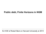 Public debt, Finite Horizons in NGM