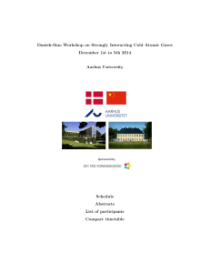 Danish-Sino Workshop on Strongly Interacting Cold Atomic Gases