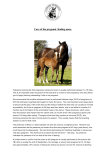 Care of pregnant /foaling mares