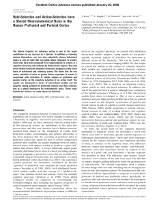 Rule-Selection and Action-Selection have a Shared