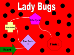 Ladybug Fun - Kids