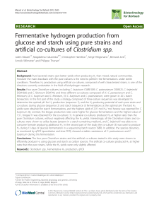 Fermentative hydrogen production from glucose and starch using