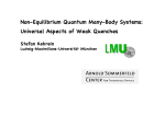 Non-Equilibrium Quantum Many-Body Systems: Universal Aspects
