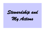 Stewardship and My Actions