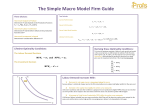 The Simple Macro Model Firm Guide