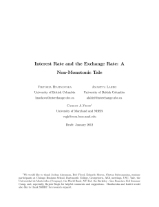 Interest Rate and the Exchange Rate: A Non