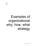 Examples of organizational why how what strategy