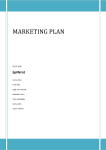 Marketing Plan Report