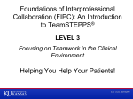 Interprofessional Teamwork and Communication Skills Workshop