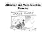 Attraction and Mate Selection Theories