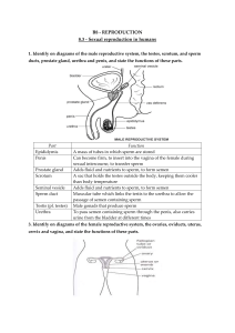 B8.3 Revision Notes