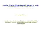 Social Cost of Groundwater Pollution in India