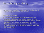 Australian Aquaculture Executive (Powerpoint)