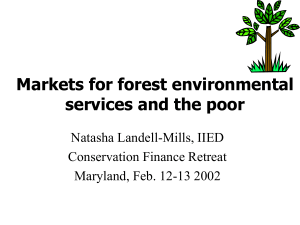 Markets for forest environmental services and the poor