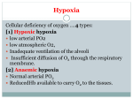 [1] Hypoxic hypoxia