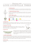 Tree Planting Guide