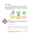 Enzyme Kinetics