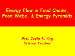 Food Chains Webs and Energy Pyramids Ppt
