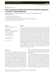 Petos paradox revisited: theoretical evolutionary dynamics of cancer