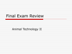 Final Exam Review