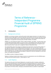 External audit terms of reference template