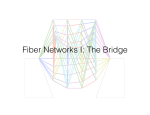 Fiber Networks I: The Bridge