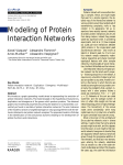 Modeling of Protein Interaction Networks