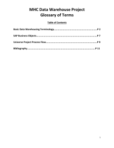 MHC Data Warehouse Project Glossary of