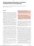 Strategy-dependent Dissociation of the Neural