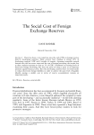 The Social Cost of Foreign Exchange Reserves
