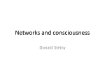 Networks and consciousness