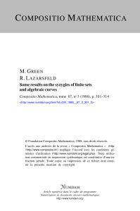 Some results on the syzygies of finite sets and algebraic