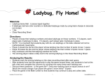 Ladybug, Fly Home!